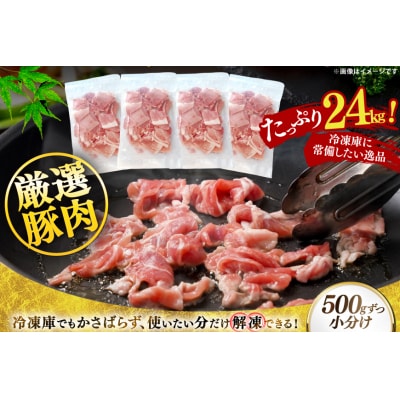北海道産 豚肉 豚こま切れ 小分け 2kg12回 定期便 総計 24kg [12260979]