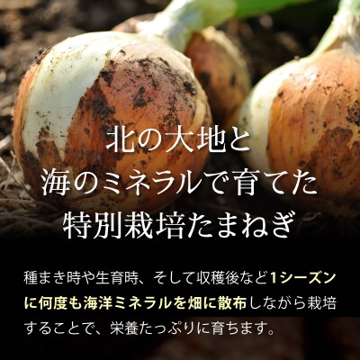 真珠の玉葱 L～L大サイズ 3kg <海のミネラルで育てた特別栽培玉葱>【a134-009】
