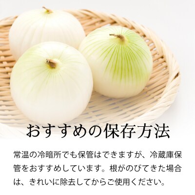 真珠の玉葱 L～L大サイズ 3kg <海のミネラルで育てた特別栽培玉葱>【a134-009】