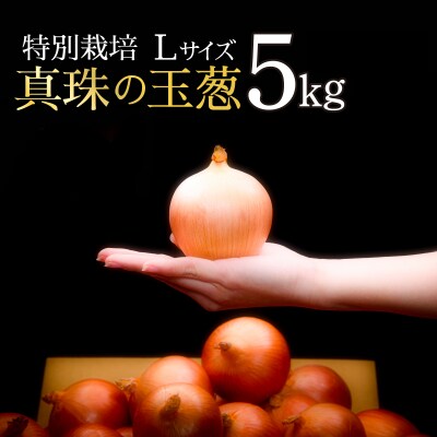 真珠の玉葱 L～L大サイズ 5kg <海のミネラルで育てた特別栽培玉葱>【a134-001】