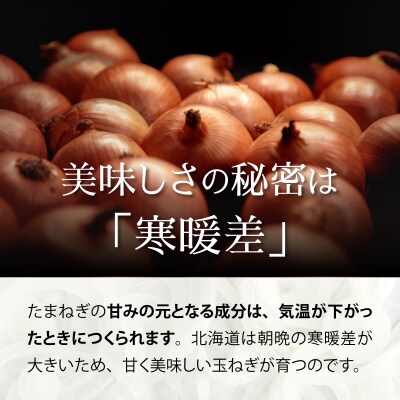 真珠の玉葱 L～L大サイズ 5kg <海のミネラルで育てた特別栽培玉葱>【a134-001】