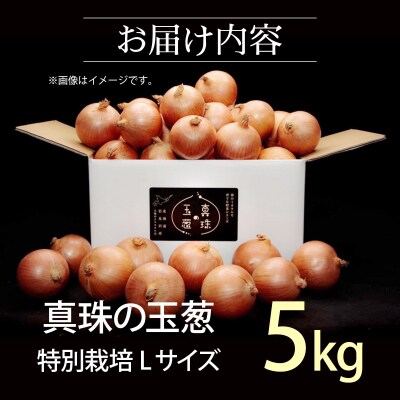 真珠の玉葱 L～L大サイズ 5kg <海のミネラルで育てた特別栽培玉葱>【a134-001】