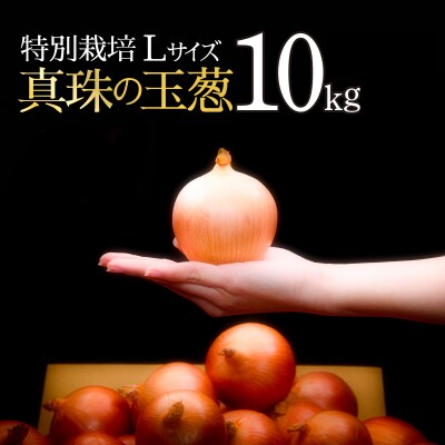 真珠の玉葱 L～L大サイズ 10kg <海のミネラルで育てた特別栽培玉葱>【a134-002】