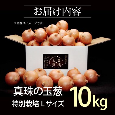真珠の玉葱 L～L大サイズ 10kg <海のミネラルで育てた特別栽培玉葱>【a134-002】