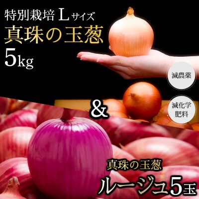 真珠の玉葱 特別栽培 L～L大サイズ 5kg (ルージュ5玉入り) 【a134-008】