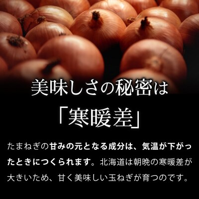 真珠の玉葱 特別栽培 L～L大サイズ 5kg (ルージュ5玉入り) 【a134-008】