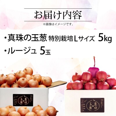 真珠の玉葱 特別栽培 L～L大サイズ 5kg (ルージュ5玉入り) 【a134-008】