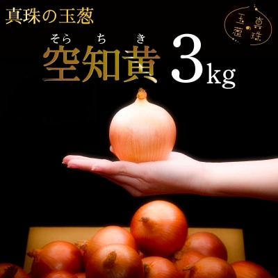 真珠の玉葱 空知黄 3kg <海のミネラルで育てた幻の玉葱 空知黄>【a134-010】