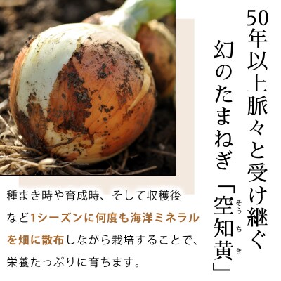 真珠の玉葱 空知黄 3kg <海のミネラルで育てた幻の玉葱 空知黄>【a134-010】