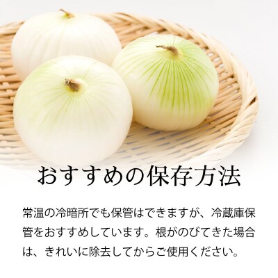真珠の玉葱 空知黄 3kg <海のミネラルで育てた幻の玉葱 空知黄>【a134-010】