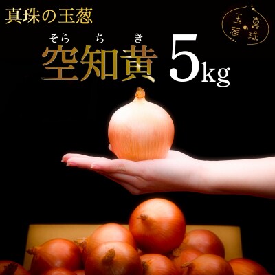 真珠の玉葱 空知黄 5kg <海のミネラルで育てた幻の玉葱 空知黄>【a134-005】