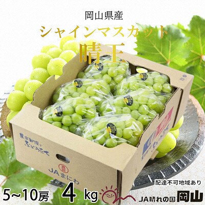 シャインマスカット 晴王 5房～10房 約4kg 岡山県産[No.5735-1659] 