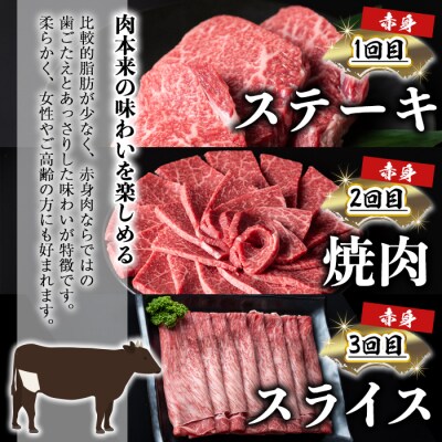 【3回定期】鹿児島和牛赤身定期便