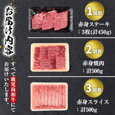 【3回定期】鹿児島和牛赤身定期便