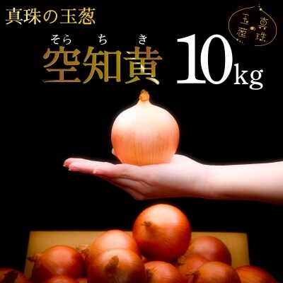 真珠の玉葱 空知黄 10kg <海のミネラルで育てた幻の玉葱 空知黄>【a134-006】