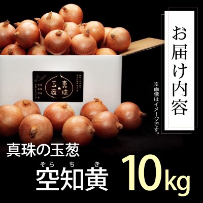 真珠の玉葱 空知黄 10kg <海のミネラルで育てた幻の玉葱 空知黄>【a134-006】