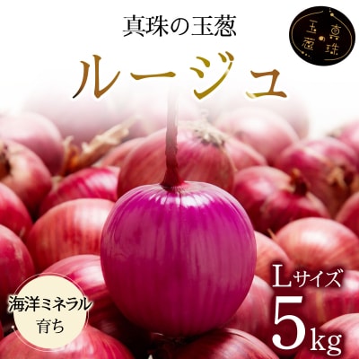 真珠の玉葱 ルージュ Lサイズ 5kg <海のミネラルで育てた赤玉葱>【a134-011】