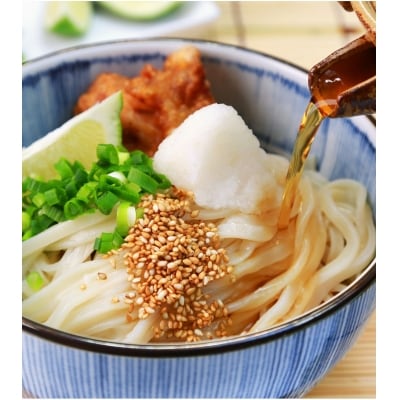 【定期便】本場純生讃岐うどん 10人前つゆ付 年3回発送(1月・5月・9月)【H-47】