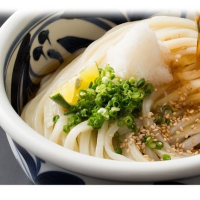 【定期便】本場純生讃岐うどん 10人前つゆ付 年3回発送(1月・5月・9月)【H-47】