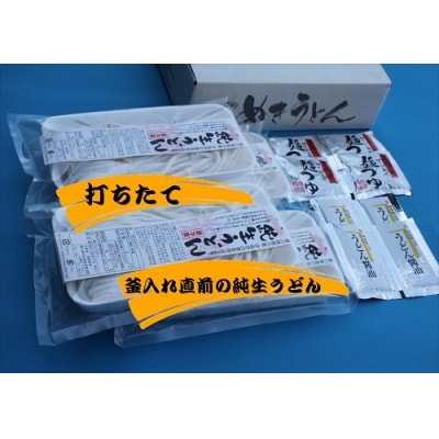 純生!これぞ真髄!本場さぬきうどんめん一の打ちたてうどんセット(8人前)【L-5】 