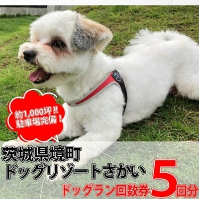 茨城県境町 広々1000坪! ドッグラン 回数券 5回分!
