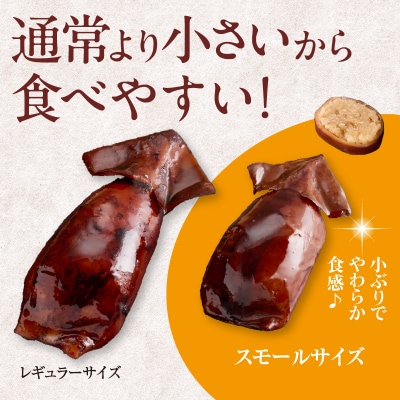 いかめし18尾セット_HD231-020