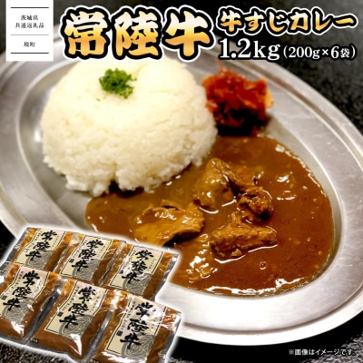 常陸牛すじカレー 1.2kg(200g×6袋)【茨城県共通返礼品】レトルト 贅沢 牛肉 カレーライス