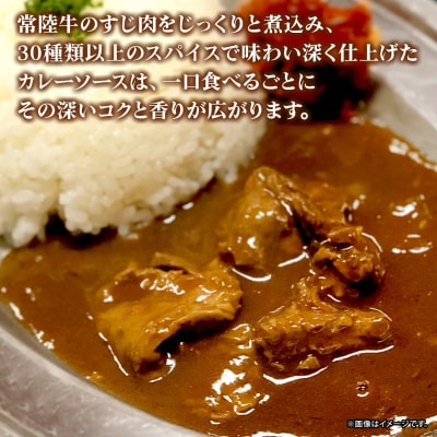 常陸牛すじカレー 1.2kg(200g×6袋)【茨城県共通返礼品】レトルト 贅沢 牛肉 カレーライス