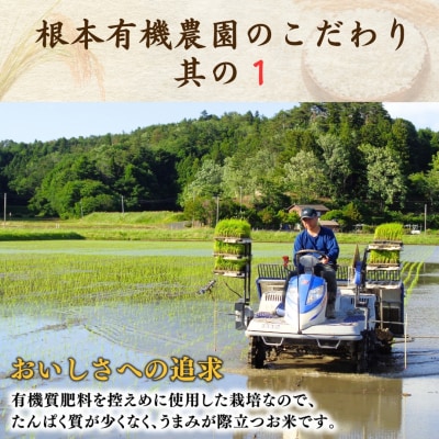 8年産先行予約 隔月定期便 コシヒカリ 玄米 5kg×3回 有機米 根本有機農園 bd004-al