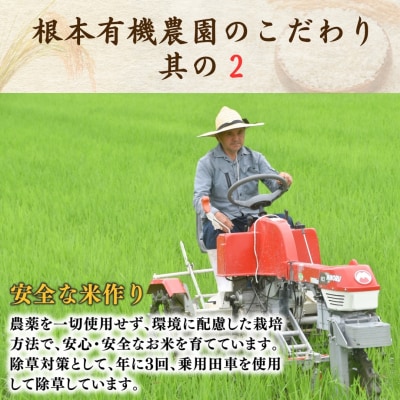 8年産先行予約 隔月定期便 コシヒカリ 玄米 5kg×3回 有機米 根本有機農園 bd004-al