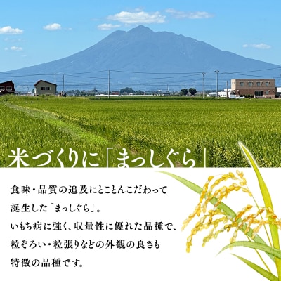 【令和8年産 先行受付 配送時期:2027年2月下旬～】平川市産まっしぐら10kg(玄米)