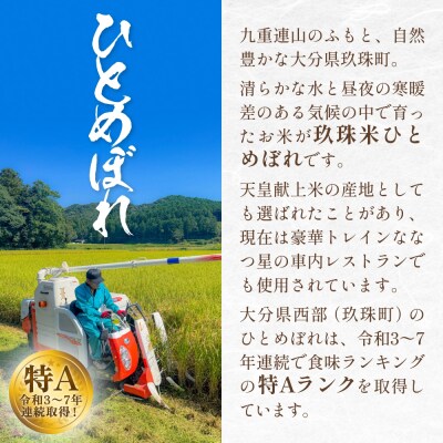 【令和8年度産】玖珠米ひとめぼれ 10kg こめ コメ お米 ヒトメボレ ご飯 ライス