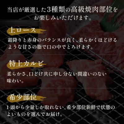 【和牛セレブ】鳥取和牛 焼⾁用特選ロースカルビ&希少部位食べ比べセット600g