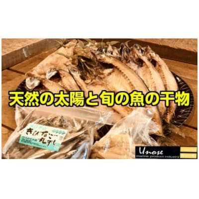 一代目から続く製法!大満足の旬の干物セット 1084-3