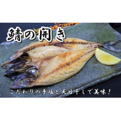 一代目から続く製法!大満足の旬の干物セット 1084-3
