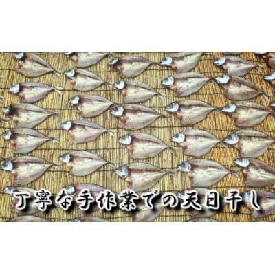一代目から続く製法!大満足の旬の干物セット 1084-3
