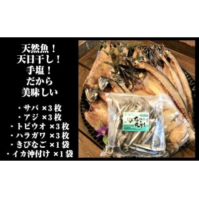 一代目から続く製法!大満足の旬の干物セット 1084-3