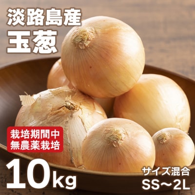 淡路島玉葱 10kg 【栽培期間中、無農薬栽培】サイズ混合SS～2L　at18010