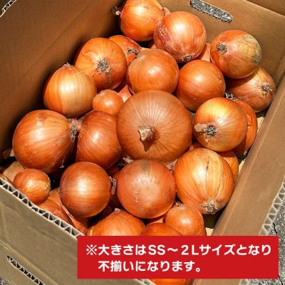 淡路島玉葱 10kg 【栽培期間中、無農薬栽培】サイズ混合SS～2L　at18010