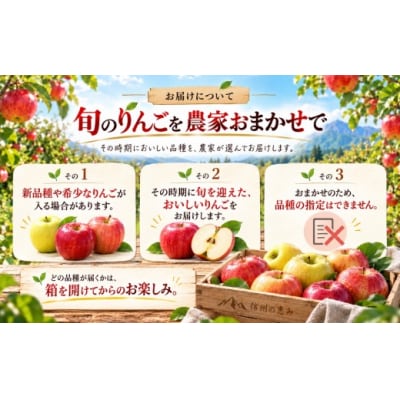 信州の旬のりんご　おまかせ5キロ(りんご・リンゴ・林檎)