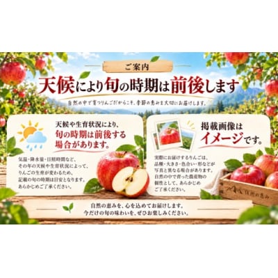 信州の旬のりんご　おまかせ5キロ(りんご・リンゴ・林檎)
