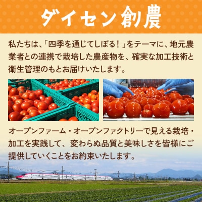 乳酸菌入りトマトリンゴミックス150g×10個入 飲料 ダイセン創農|22_dsn-061001