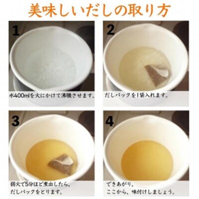 だしソムリエ推奨 だしパック味比べお試しセット 5種類×各2包(計10包)