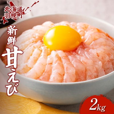超速リキッド凍結でドリップゼロ!北海道羽幌産生鮮甘えび200g×10【0312002】