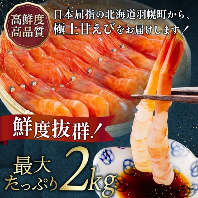 超速リキッド凍結でドリップゼロ!北海道羽幌産生鮮甘えび200g×10【0312002】