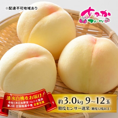 桃 2027年 先行受付 清水 白桃 をお届け!約3.0kg 9～12玉 [NO5765-0988]