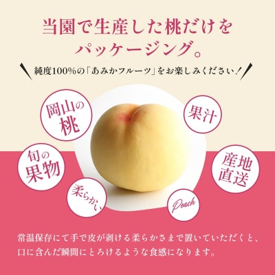 桃 2027年 先行予約 7月の旬な 白桃 をお届け!3玉 約900g[NO5765-1558]