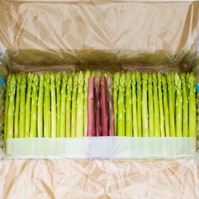 アスパラ王子が育てた自慢のアスパラ　穂だけアスパラ1kg【御用意出来次第発送】【H-77】