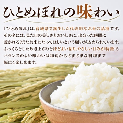 令和7年産 宮城県名取市産 ひとめぼれ 白米 30kg|21_kkn-053001