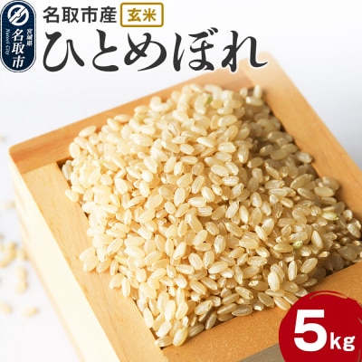 米 令和7年産 宮城県 名取市産 ひとめぼれ【玄米】 5kg|21_kkn-010501